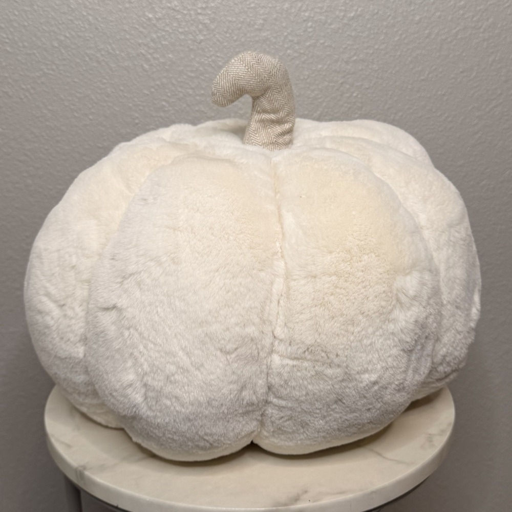 Martha Stewart Cream Plush Pumpkin Pillow Neutral Fall Autumn Farmhouse‎ 12x14
